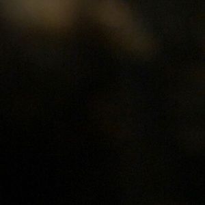 Meet your Posher, Joey